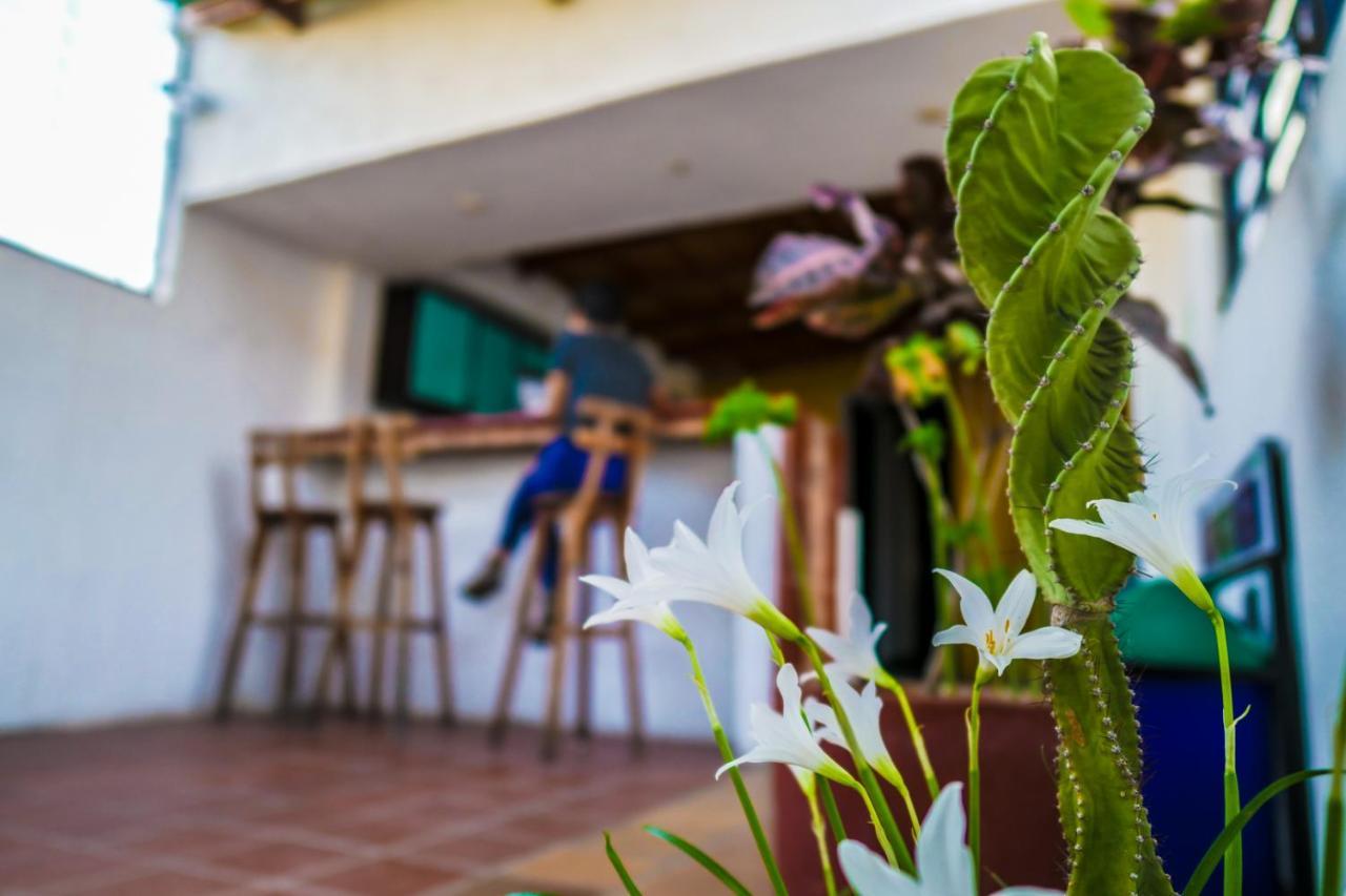 Aluna Hostel B&B 산타마르타 외부 사진